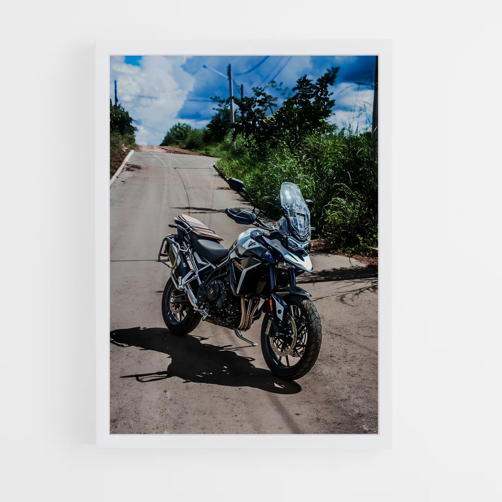 Poster Félidé Éblouissant 900 – affiche Triumph (vue 3)